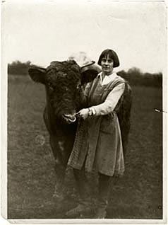 lady eve balfour with bull